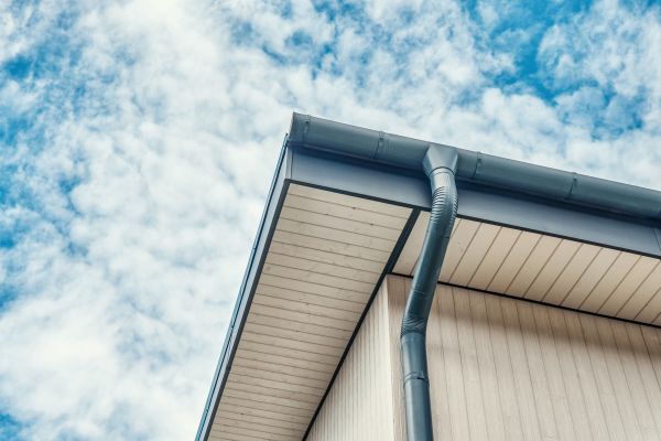 Gutter Fascia Repair in Valencia